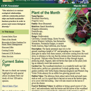 CCW Newsletter, Spring 2011