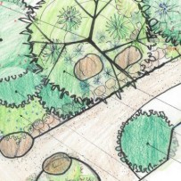 Extending Moore Creek Preserve into a Westside Front Yard