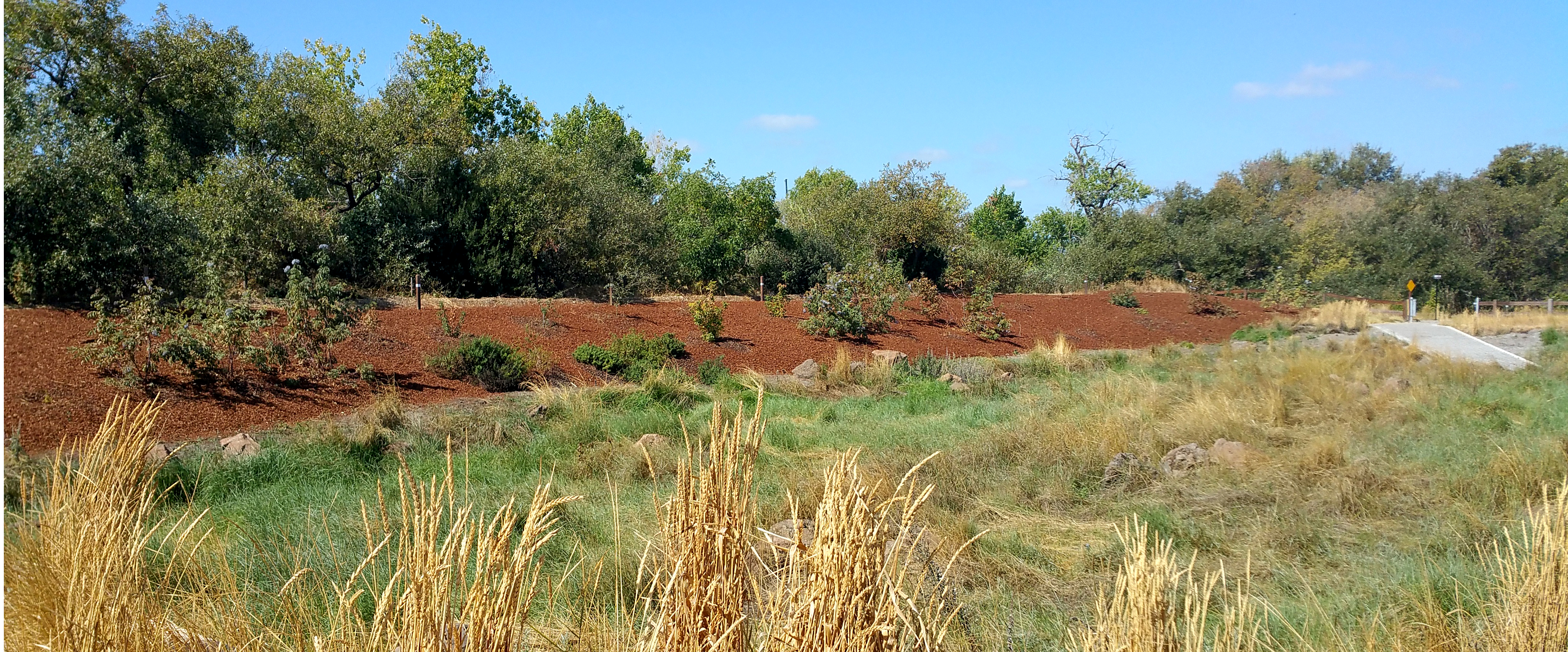 Coyote Basin - KB HOME