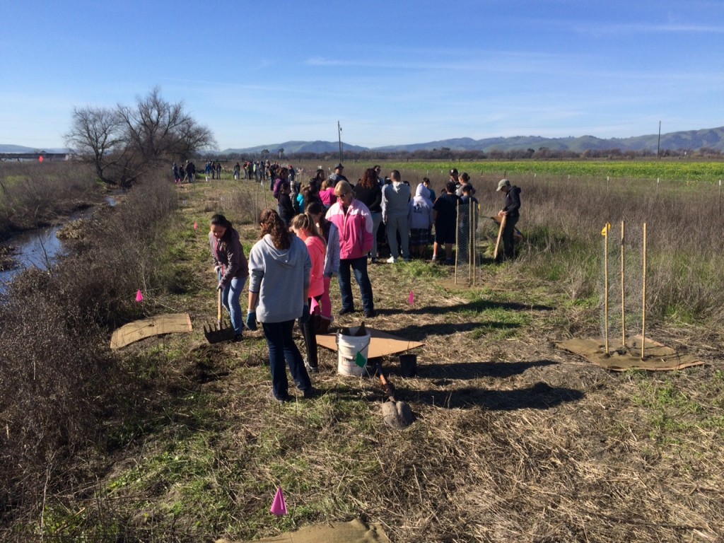 students and teachers restoring a watershed 