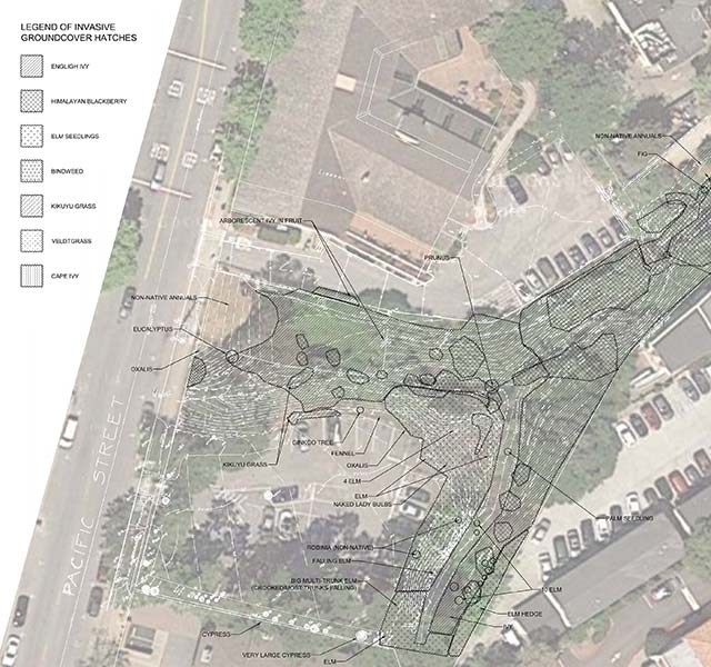 Habitat restoration plan schematic developed by Ecological Concerns, Santa Cruz, CA