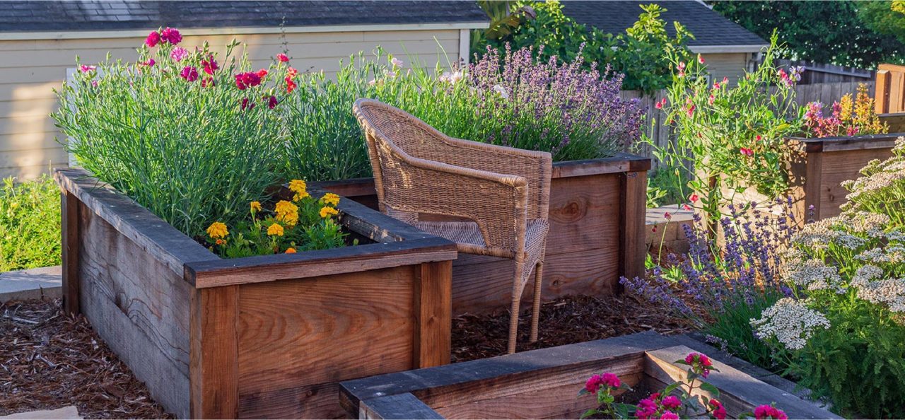 wicker chair next to raised beds in native plant garden