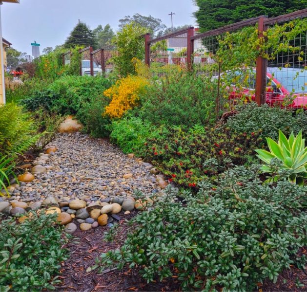 River rocks, pathways, fencing and native plants designed by ECI
