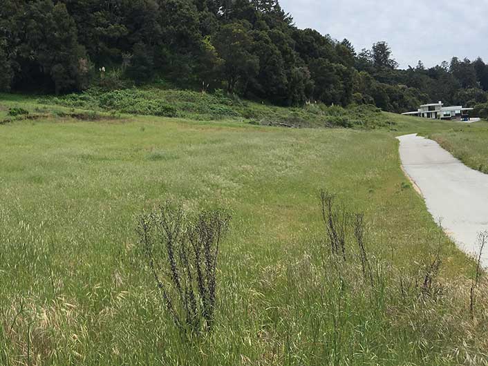 habitat restoration completed by ECI on Baker Road