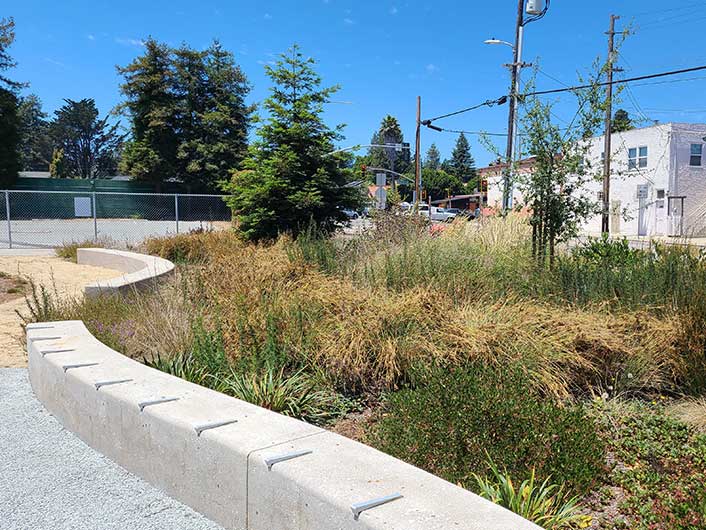 Bay View School Ecological Campus