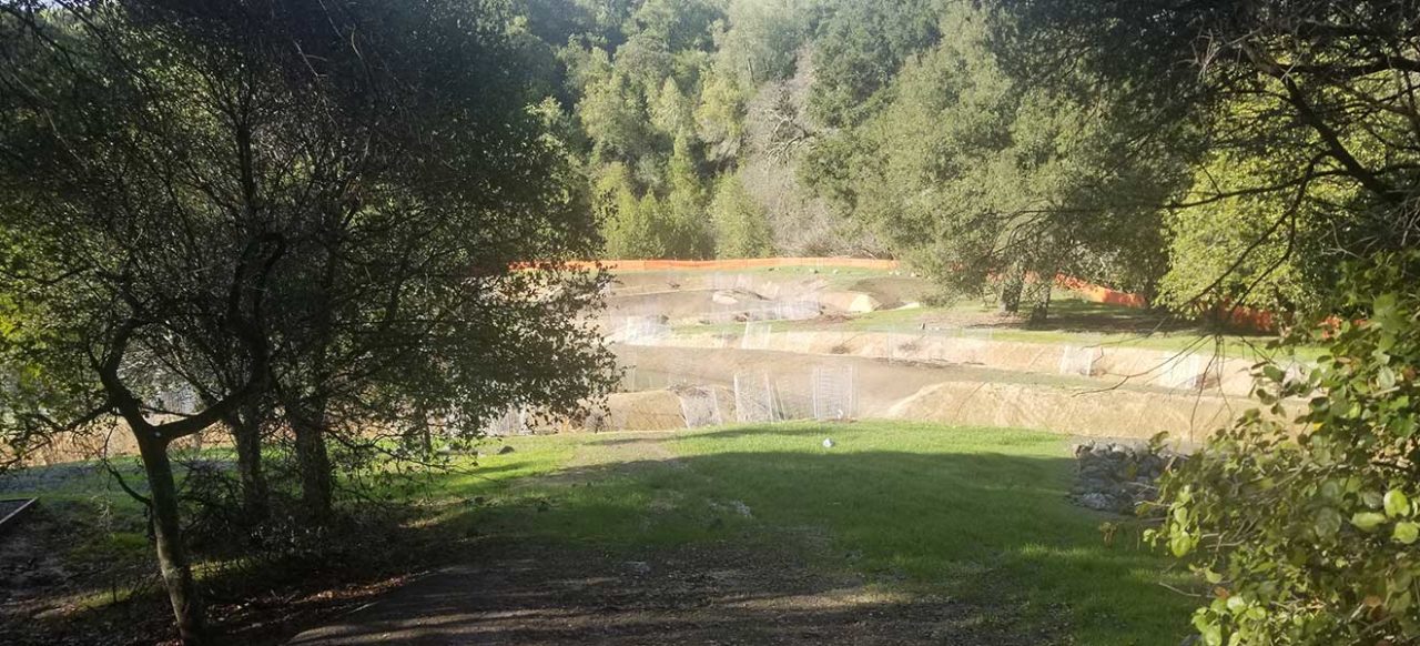 Constructed wetland grading and planting project managed by ECI 