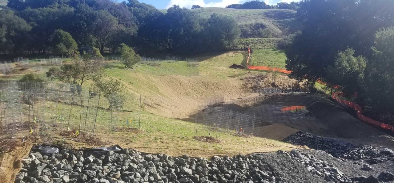 Bollinger Canyon constructed wetland project managed by Ecological Concerns Inc