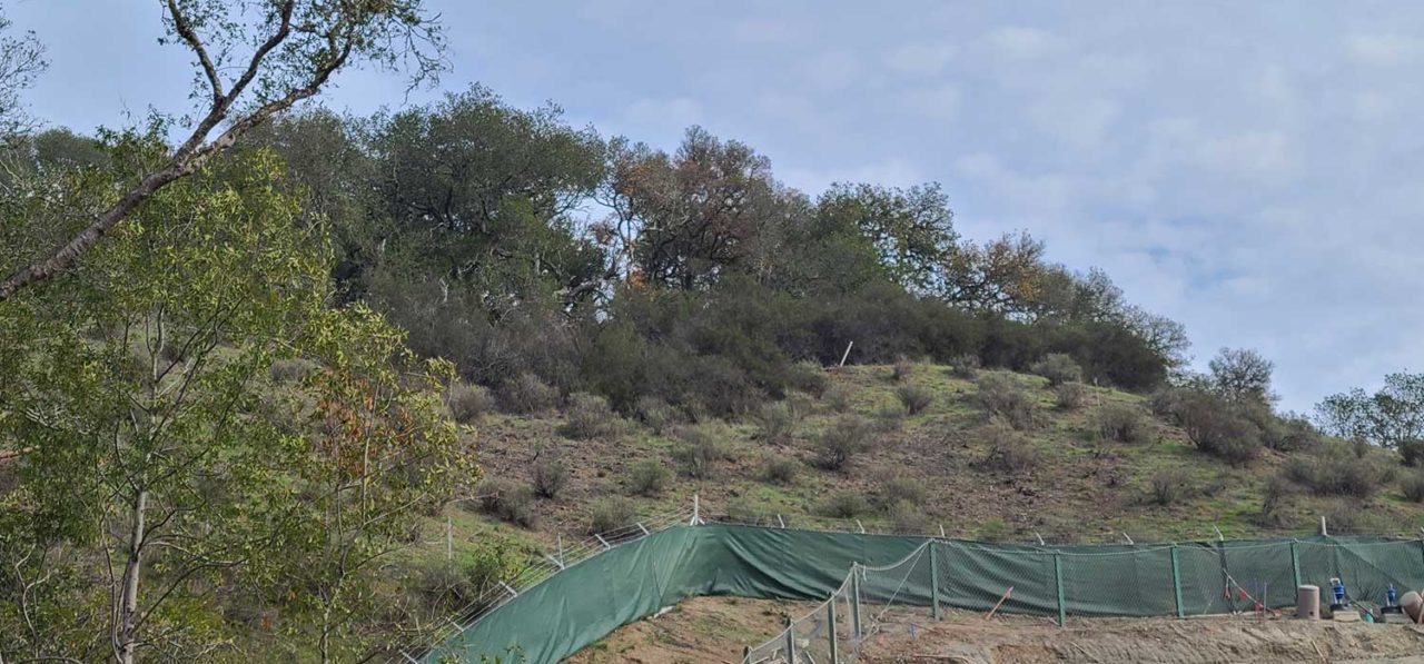 Hillside above Cordilleras Mental Health Center with Defensible Space cleared.