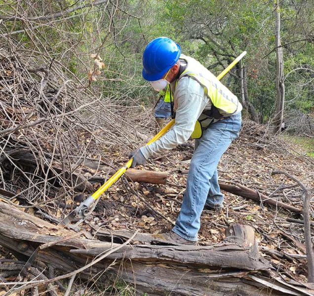 ECI worker in high visibility vest and blue hardhat removing fire fuel tree limbs from Cordilleras Defensible Space