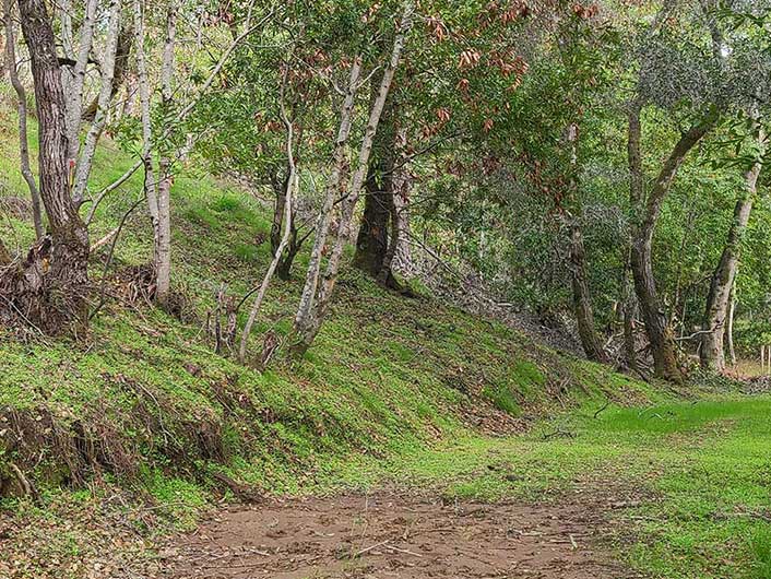 path near Cordilleras Mental Health Center in Redwood City, CA cleared of excess fire fuel