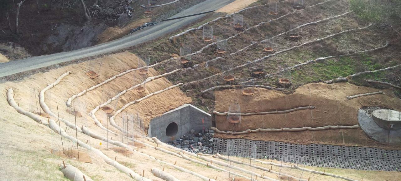 Plantings and erosion control infrastructure on hillside above Crystal Springs Reservoir dam on SFPUC land