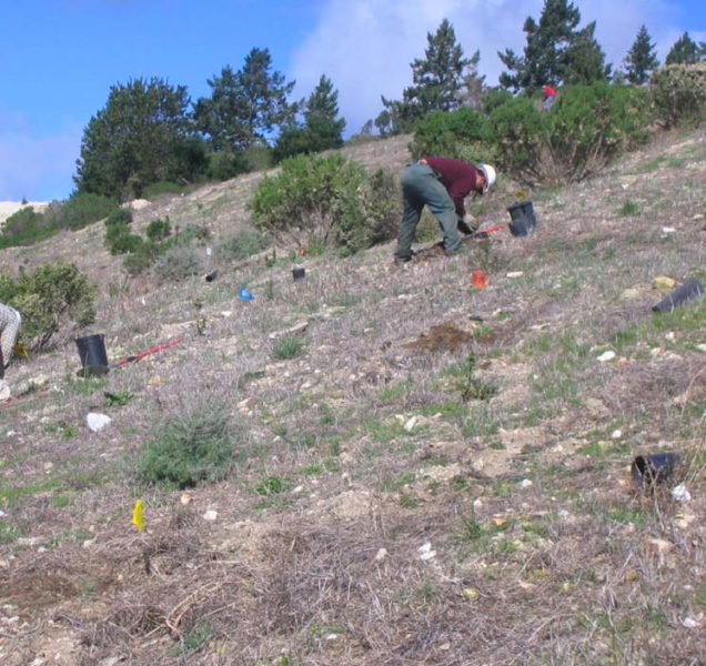 ECI workers doing revegetation work at Quail Hollow Quarry