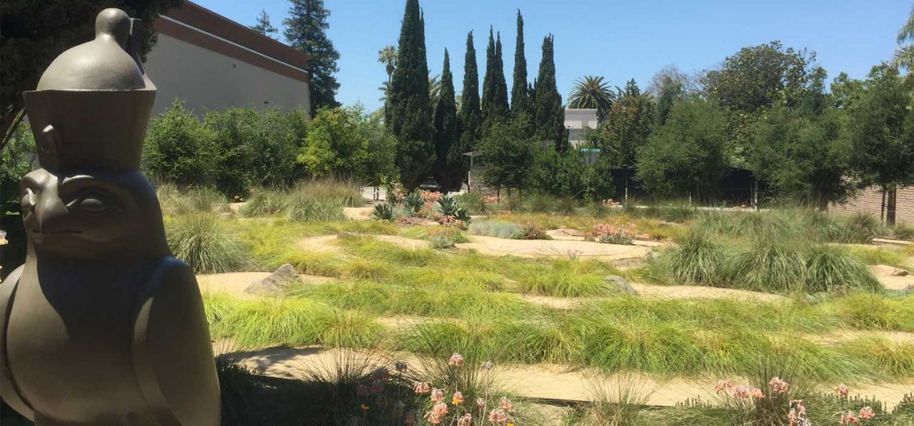 Labyrinth path with mature California native grasses and other plants with stature of bird in foreground