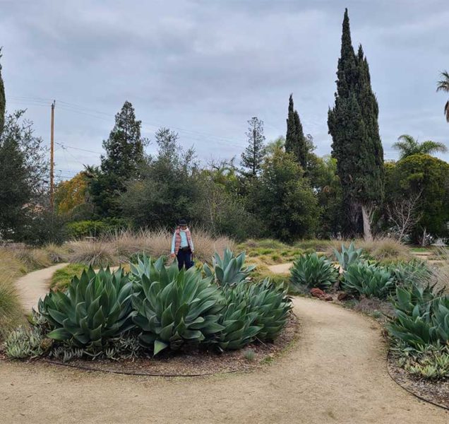 Rosicrucian Museum landscaping by Ecological Concerns Inc