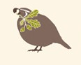 Logo of California Wildlife Foundation- image of a California quail