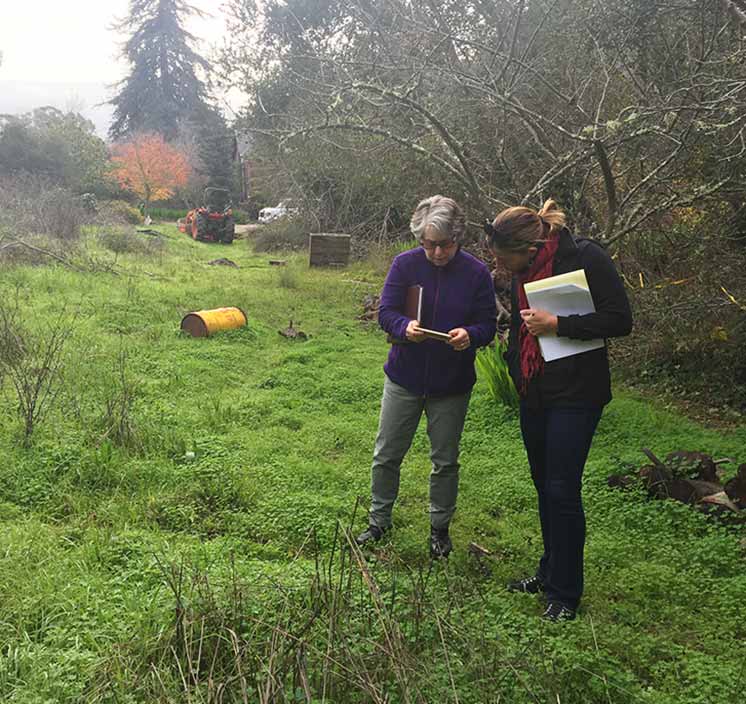 2 consultants in the field
