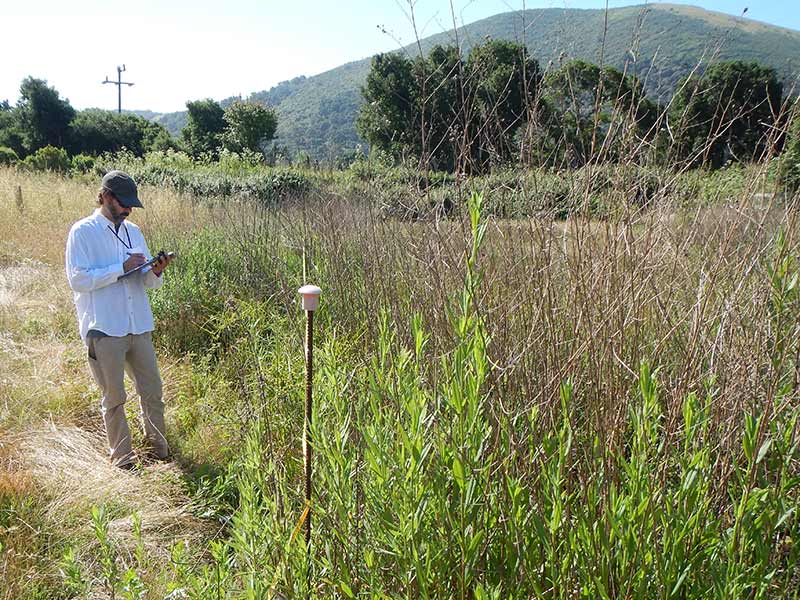 Continue Maintenance Plant Monitoring & Pruning