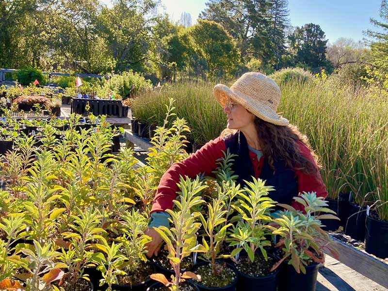 Native Plant Nursery Contract Grow Operation
