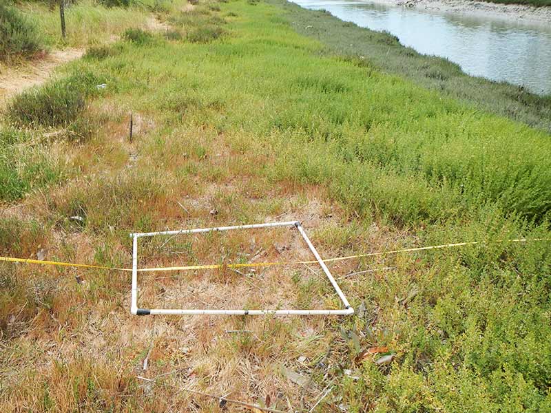 Native Plant Nursery General Botanical Assessments