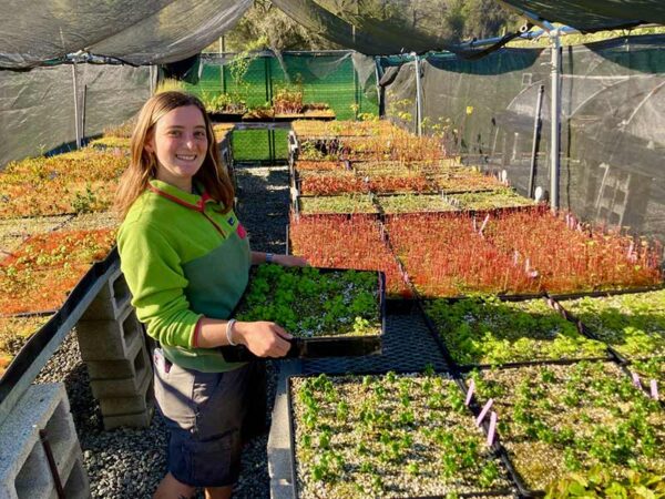 Native Plant Phytosanitation program